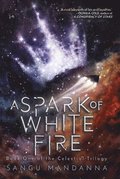 Spark of White Fire