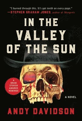 Andy Davidson - In the Valley of the Sun, Häftad