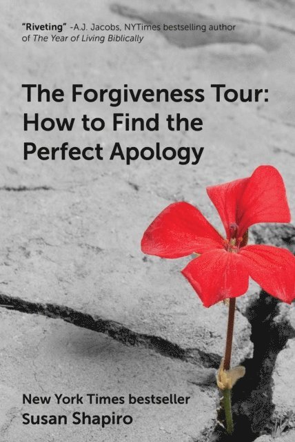 Susan Shapiro - Forgiveness Tour, E-bok
