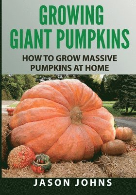 Jason Johns - Growing Giant Pumpkins - How To Grow Massive Pumpkins At Home, Häftad. Tillgänglighet: Lägg i varukorg