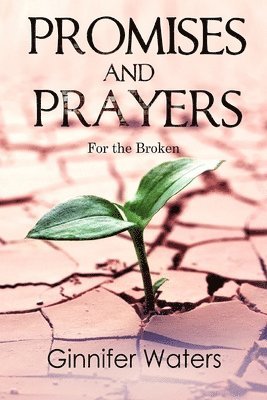 Ginnifer Waters, Elizabeth Swanson - Promises and Prayers: for the Broken, Häftad. Tillgänglighet: Lägg i varukorg