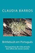 Brittlebush em Português: Perspectivas de vida através dos olhos de nosso cavalo