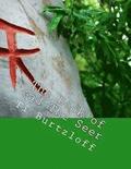 The Book of Gad The Seer: Danish Translation