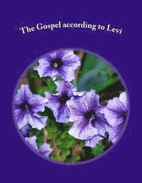 Levi H. Dowling - The Gospel according to Levi, Häftad. Tillgänglighet: Lägg i varukorg
