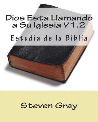 Steven Gray - Dios Esta Llamando a Su Iglesia V1.2: Estudia de la Biblia, Häftad. Tillgänglighet: Lägg i varukorg
