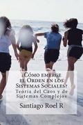 Cmo emerge el Orden en los Sistemas Sociales?: Teora del Caos y Teora de Sistemas Complejos Aplicadas a la prevencin de la violencia y la delincu