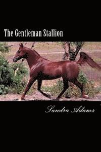 Sandra Adams - The Gentleman Stallion, Häftad