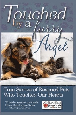 Chelley Kitzmiller - Touched By A Furry Angel, Häftad