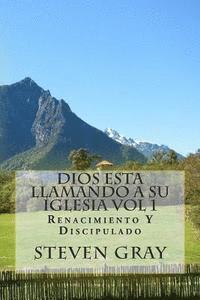 Steven Gray - Dios Esta Llamando a Su Iglesia Vol 1: Renacimiento Y Discipulado, Häftad. Tillgänglighet: Lägg i varukorg