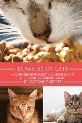 Gordon Roberts Bvsc Mrcvs - Diabetes in Cats: A Comprehensive Guide to Diabetes in Cats, Häftad. Tillgänglighet: Lägg i varukorg