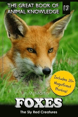 M Martin - Foxes, Häftad. Tillgänglighet: Lägg i varukorg