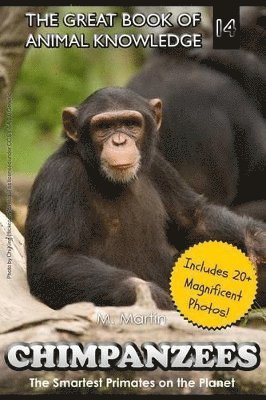 M Martin - Chimpanzees, Häftad. Tillgänglighet: Lägg i varukorg