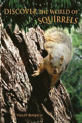 Julia L. Wright, Violet Burbach - Discover the World of Squirrels: Illustrated Kids Book With Fun Facts About Squirrels And Builds Kids Vocabulary, Häftad. Tillgänglighet: Lägg i varukorg
