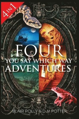 Blair Polly, DM Potter - Four You Say Which Way Adventures, Häftad