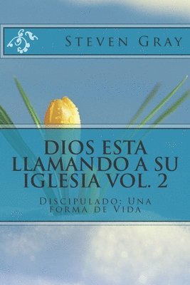 Steven Gray - Dios Esta Llamando a Su Iglesia Vol. 2: Discipulado: Una forma de Vida, Häftad. Tillgänglighet: Lägg i varukorg