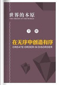 Bing Xu - Create Order in Disorder, Häftad