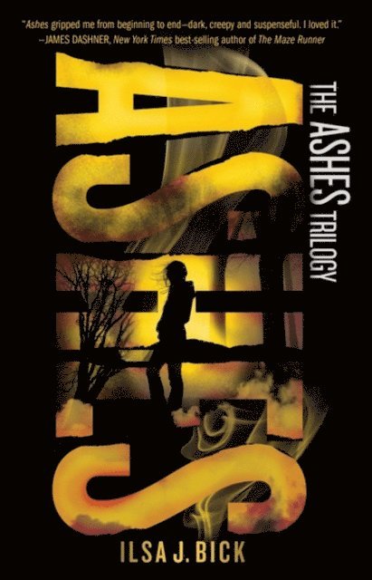 Ilsa J. Bick - Ashes, E-bok