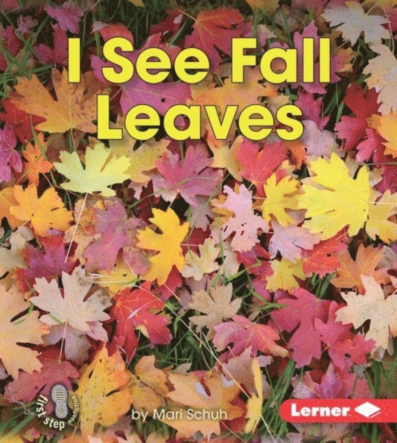Mari Schuh - I See Fall Leaves, E-bok