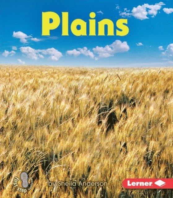 Sheila Anderson - Plains, E-bok