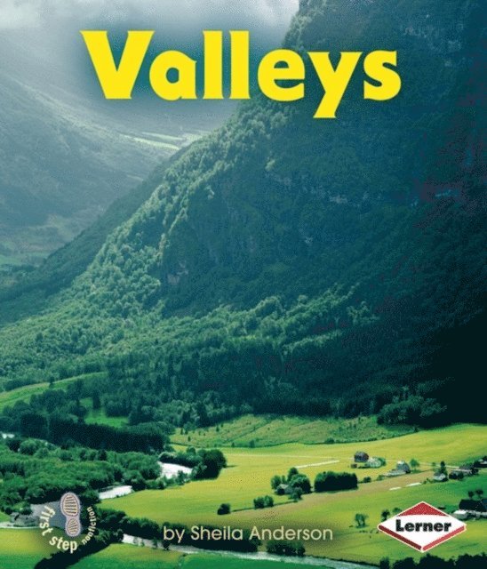 Sheila Anderson - Valleys, E-bok