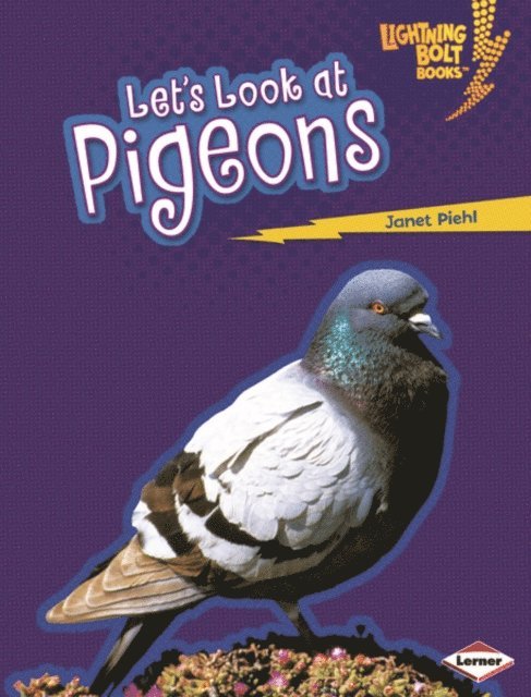 Janet Piehl - Let's Look at Pigeons, E-bok. Tillgänglighet: Lägg i varukorg