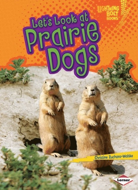 Christine Zuchora-Walske - Let's Look at Prairie Dogs, E-bok. Tillgänglighet: Lägg i varukorg