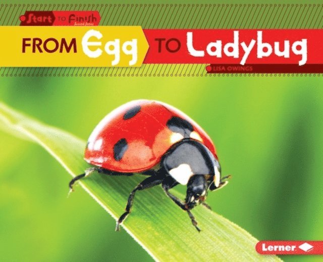 Lisa Owings - From Egg to Ladybug, E-bok