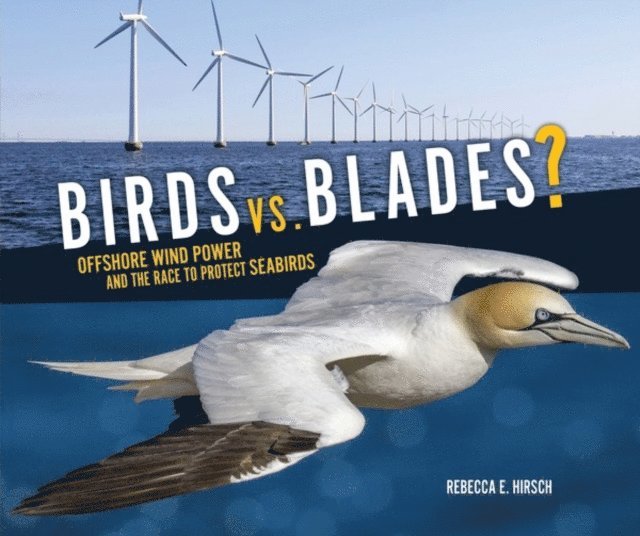 Rebecca E. Hirsch - Birds vs. Blades?, E-bok