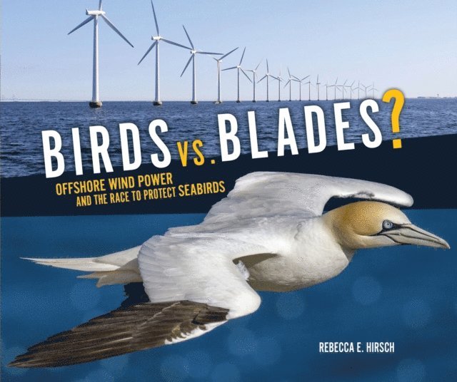 Rebecca E. Hirsch - Birds vs. Blades?, E-bok