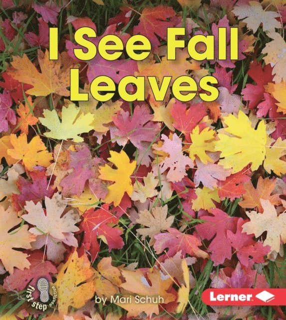 Mari Schuh - I See Fall Leaves, E-bok