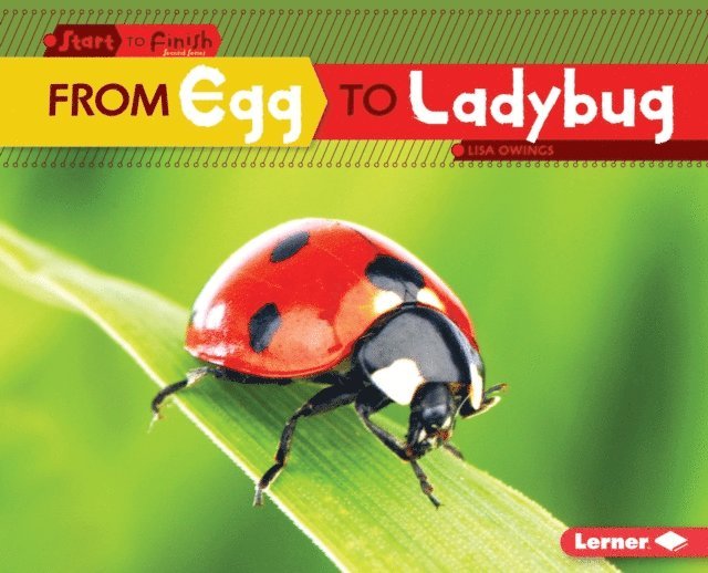 Lisa Owings - From Egg to Ladybug, E-bok
