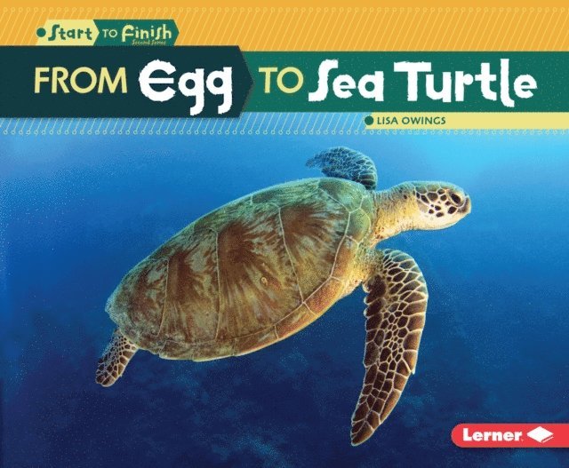 Lisa Owings - From Egg to Sea Turtle, E-bok