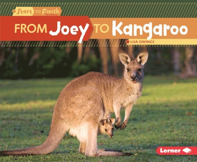 Lisa Owings - From Joey to Kangaroo, E-bok