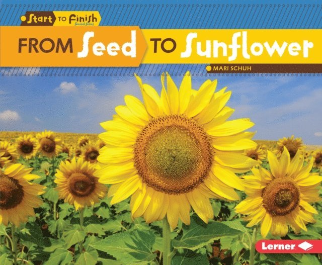 Mari Schuh - From Seed to Sunflower, E-bok