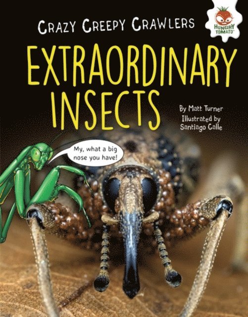 Matt Turner - Extraordinary Insects, E-bok