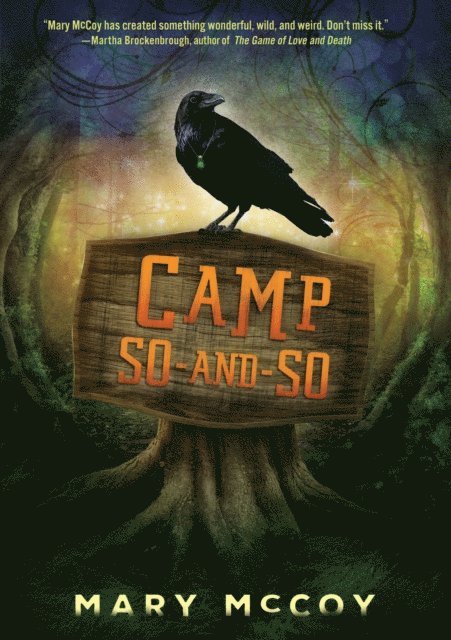 Mary McCoy - Camp So-and-So, E-bok