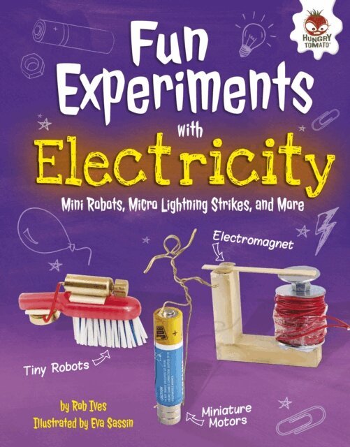 Rob Ives - Fun Experiments with Electricity, E-bok