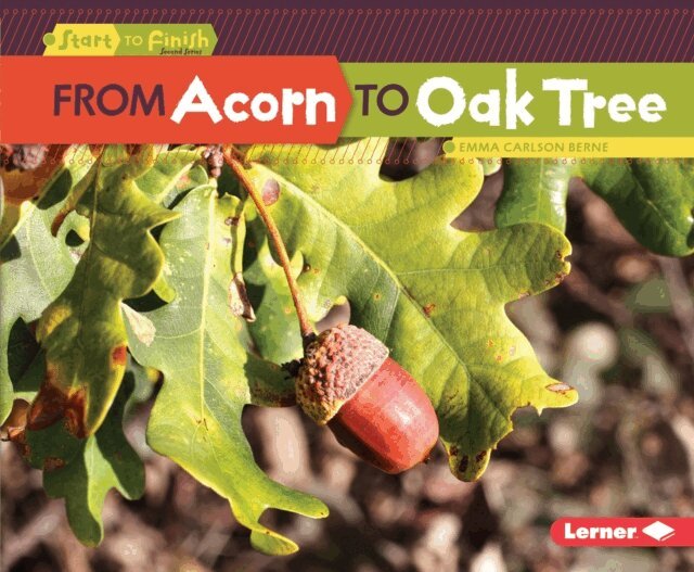 Emma Carlson-Berne - From Acorn to Oak Tree, E-bok