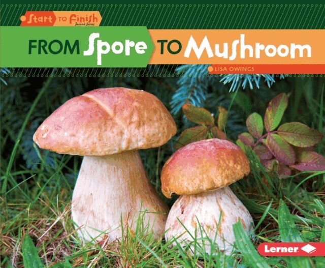 Lisa Owings - From Spore to Mushroom, E-bok