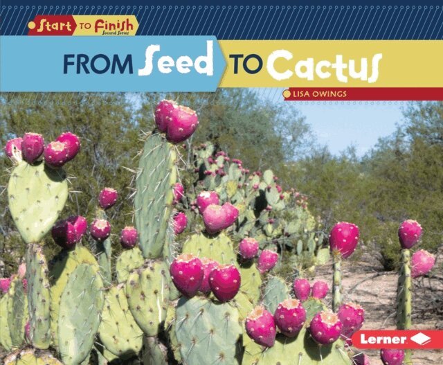 Lisa Owings - From Seed to Cactus, E-bok