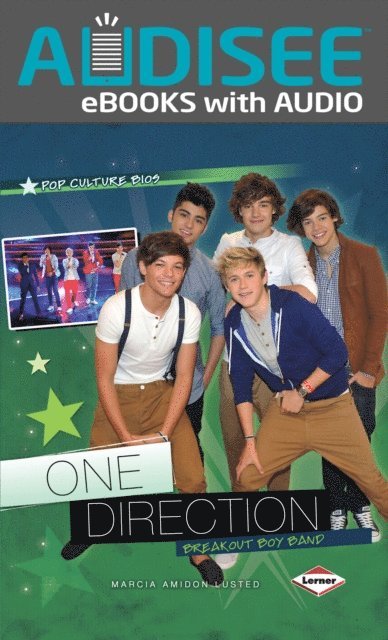 Marcia Amidon Lusted - One Direction, E-bok