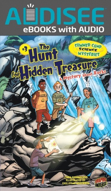 Lynda Beauregard - Hunt for Hidden Treasure, E-bok