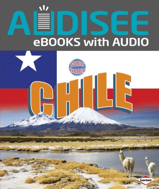 Jennifer A. Miller - Chile, E-bok