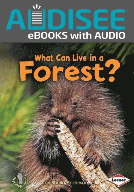 Sheila Anderson - What Can Live in a Forest?, E-bok
