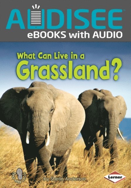 Sheila Anderson - What Can Live in a Grassland?, E-bok