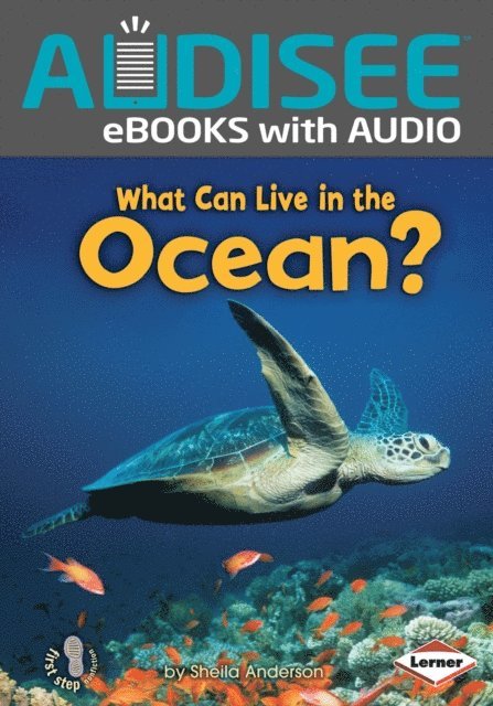 Sheila Anderson - What Can Live in the Ocean?, E-bok