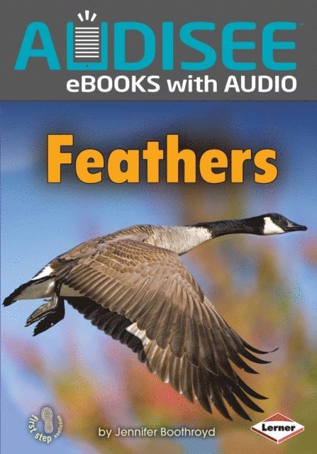 Jennifer Boothroyd - Feathers, E-bok