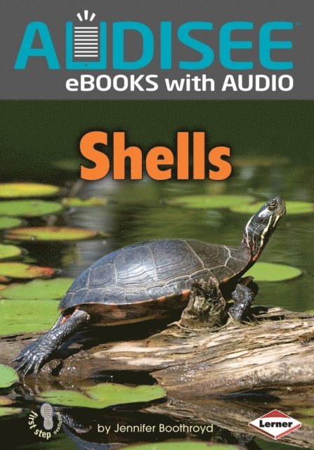 Jennifer Boothroyd - Shells, E-bok