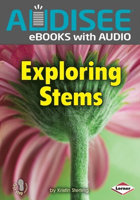 Kristin Sterling - Exploring Stems, E-bok