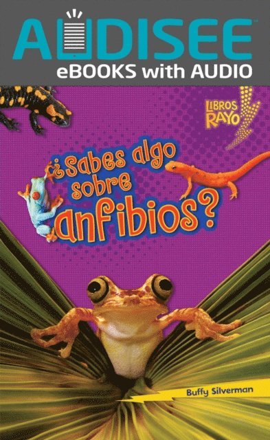 Buffy Silverman - ¿Sabes algo sobre anfibios? (Do You Know about Amphibians?), E-bok